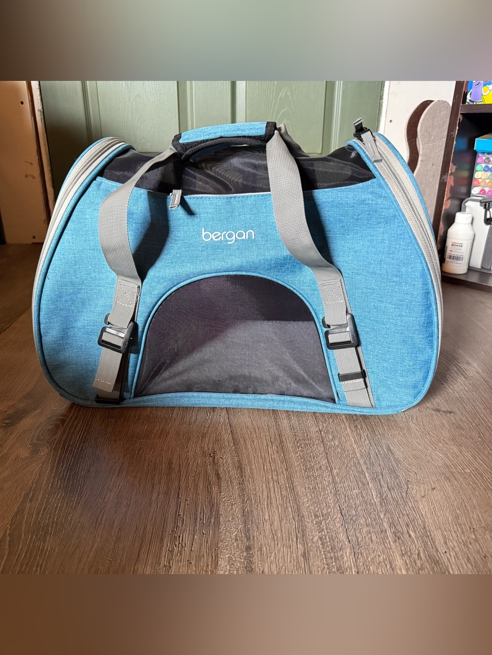 Bergan Teal Travel Pet Carrier Duffel
